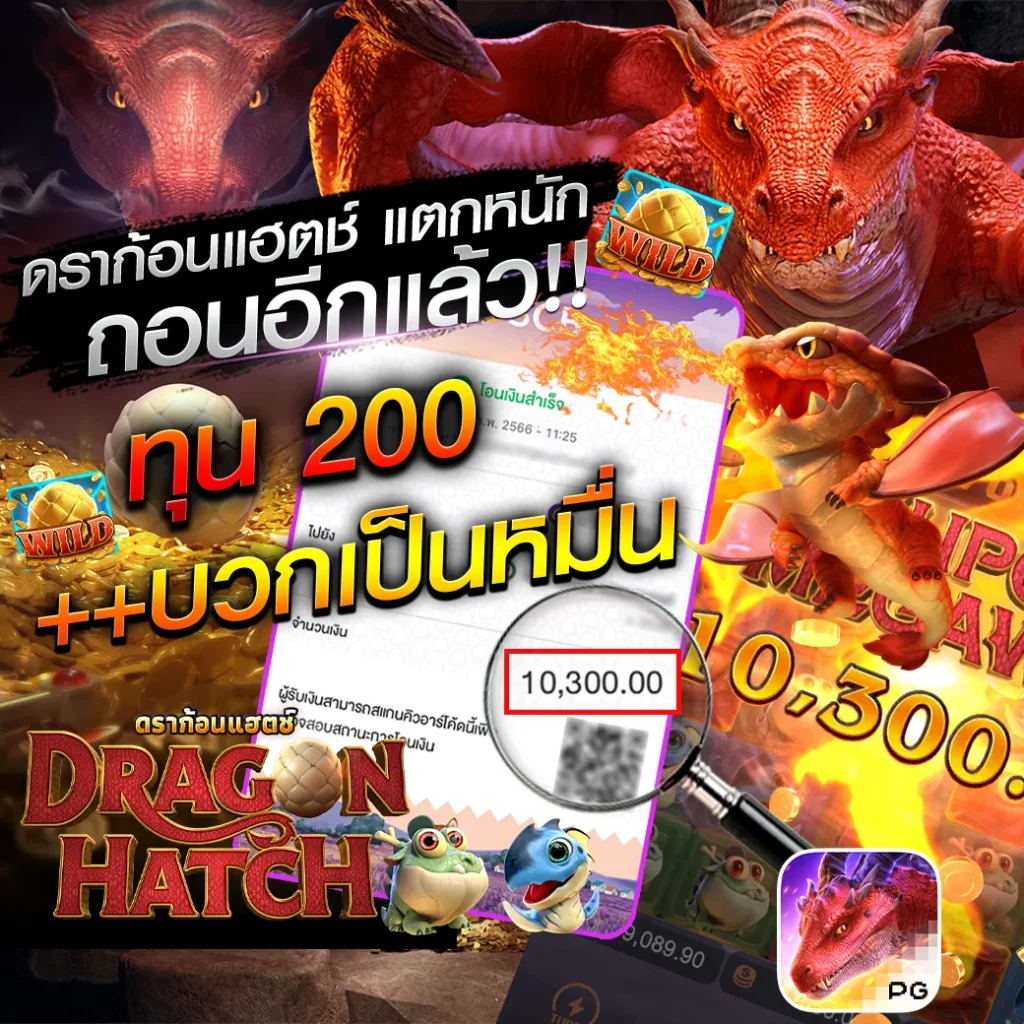 โปรโมชั่น XCON 168